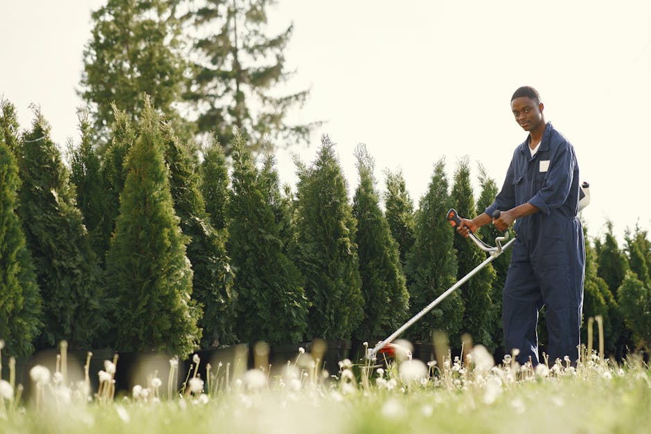 Professional landscaper working on property maintenance